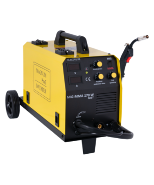MIG 170W IGBT