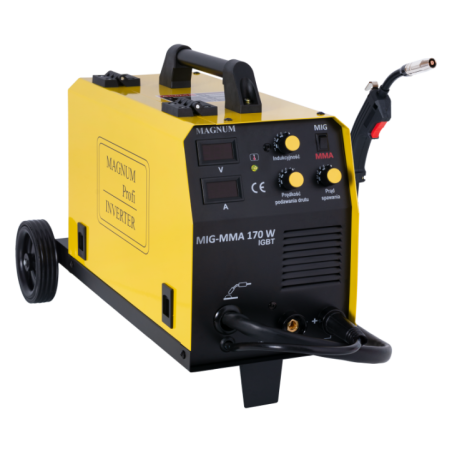 MIG 170W IGBT