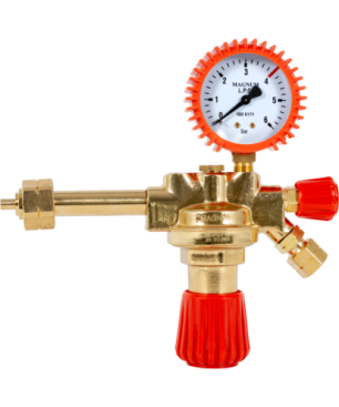 REDUKTOR SERIA 100 - PROPAN / BUTAN (LPG)